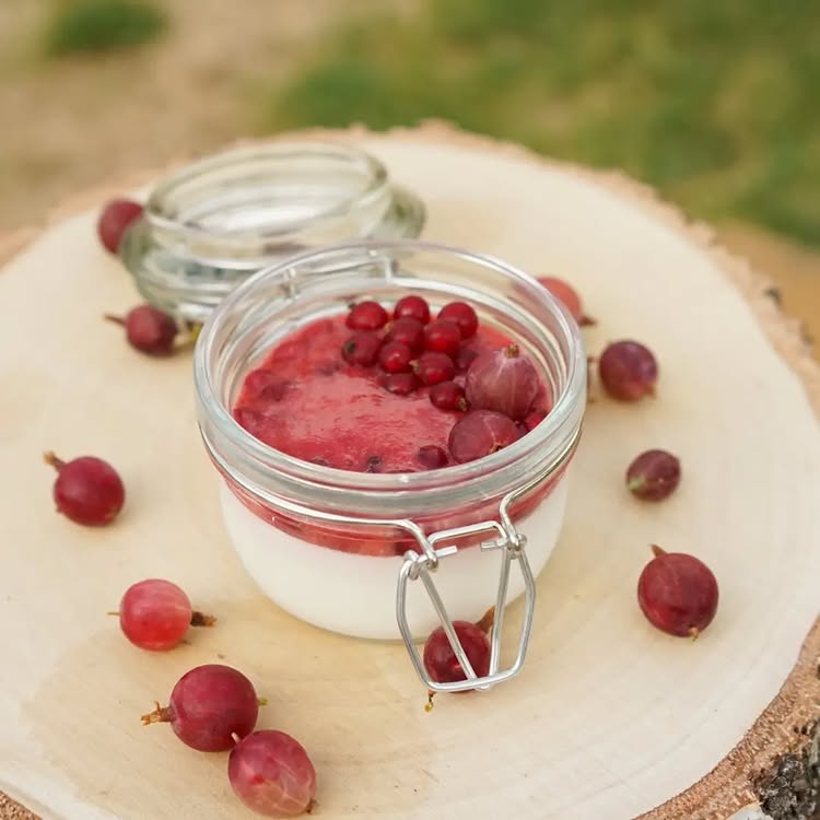 fairyy cakes Panna cotta granátové jablko