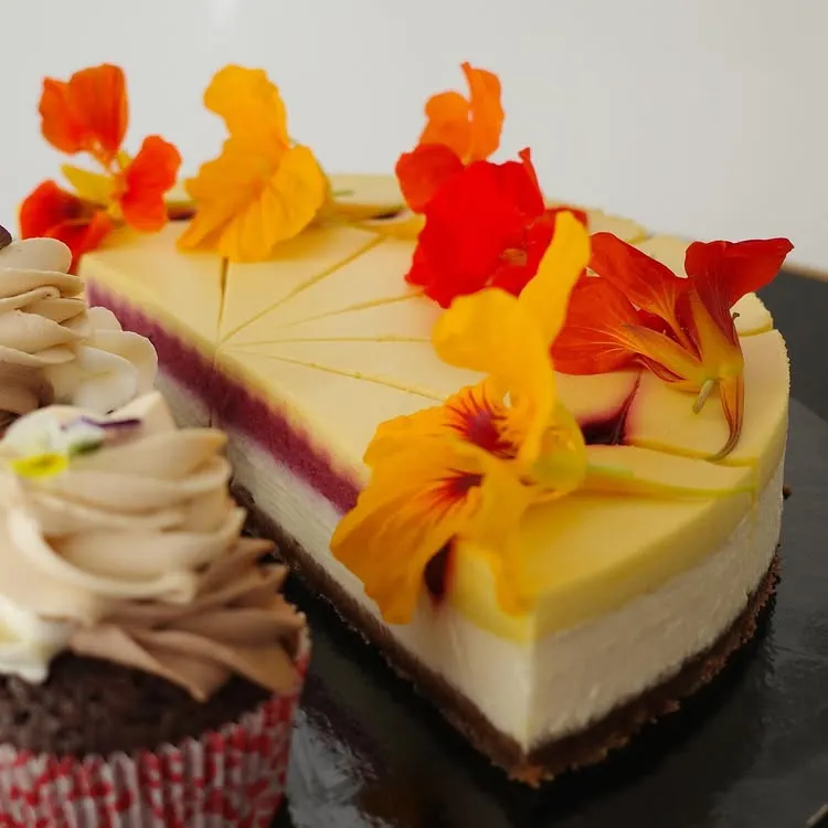 fairyy cheesecake a cupcake close up 750